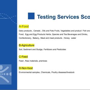 Testing Services Scope